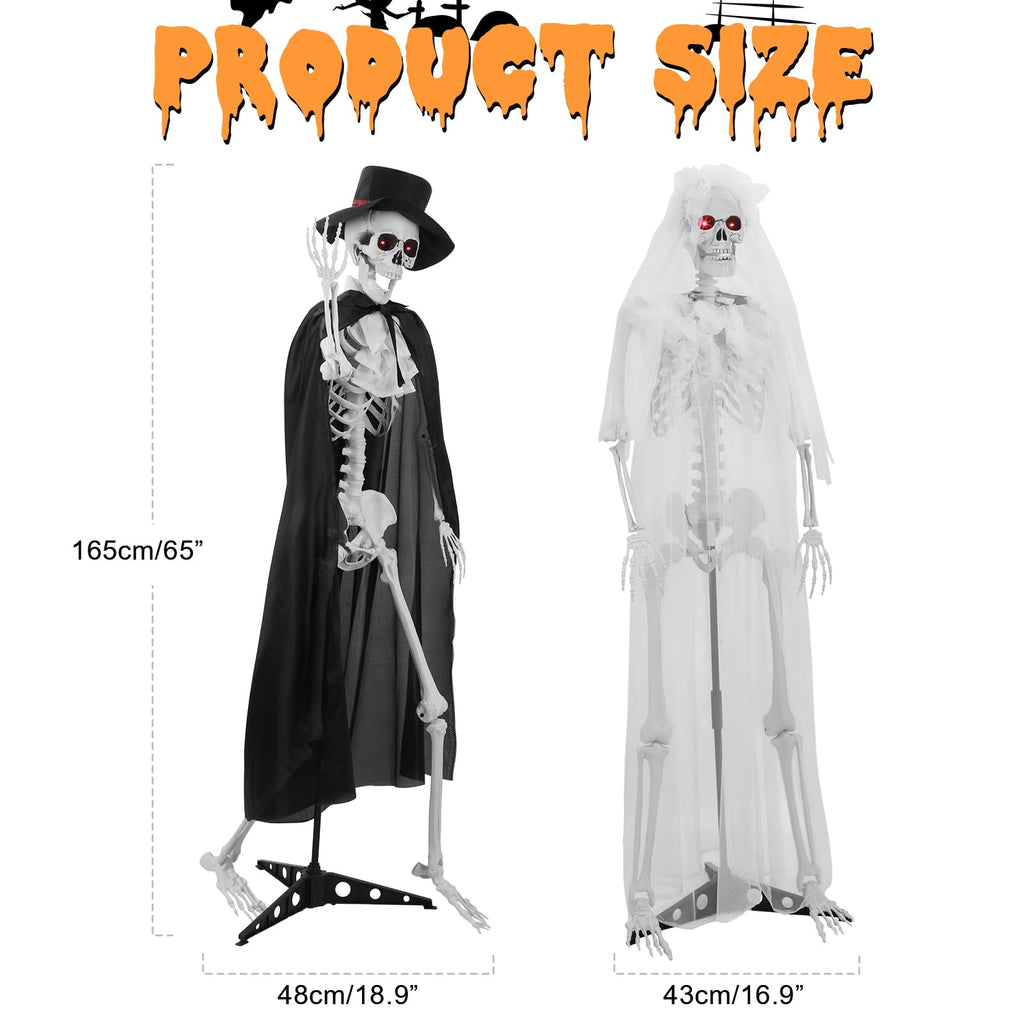 Life Size Skeleton J602618