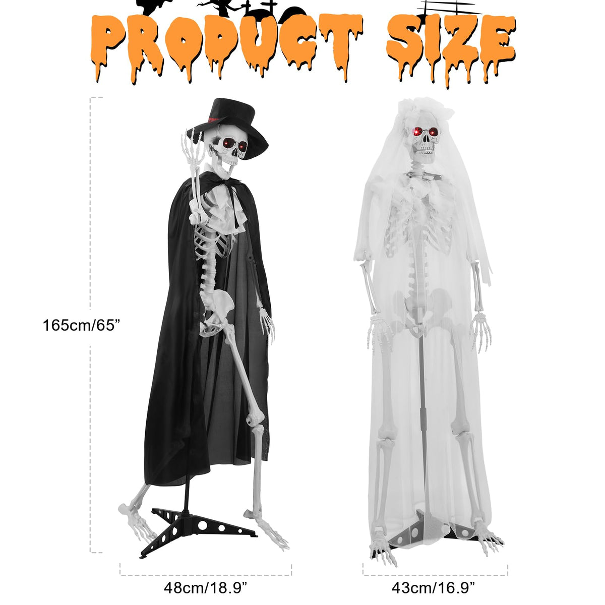 Life Size Skeleton J602618