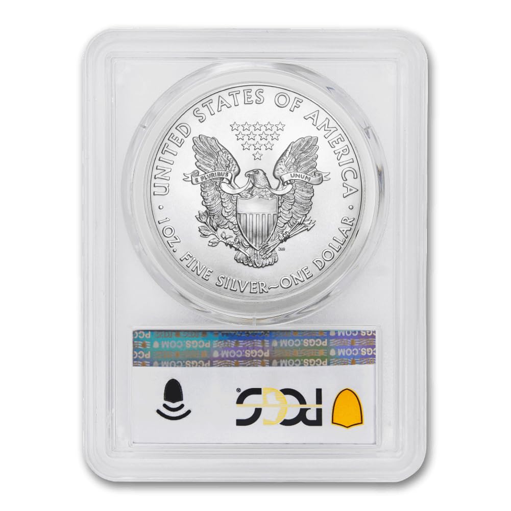 1 oz American Silver Eagle Coin MS-70 L322