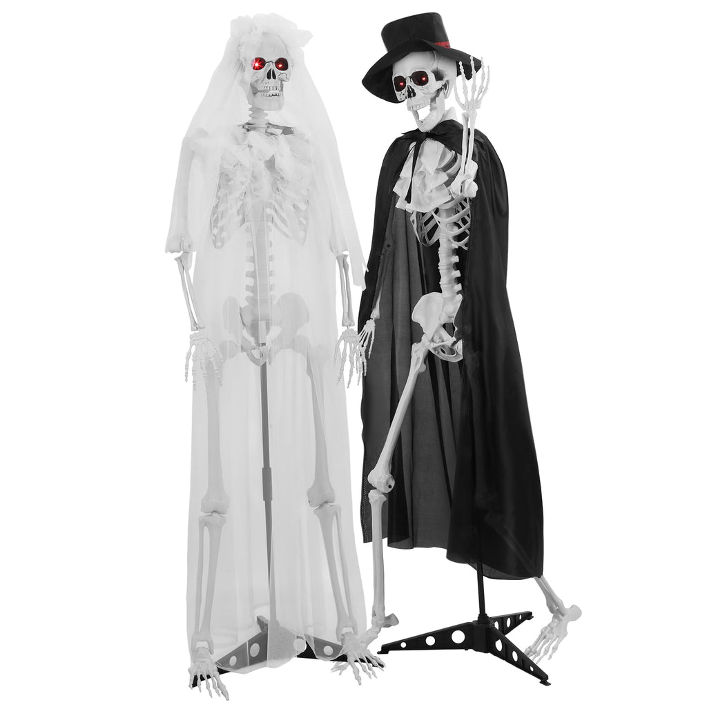 Life Size Skeleton J602618