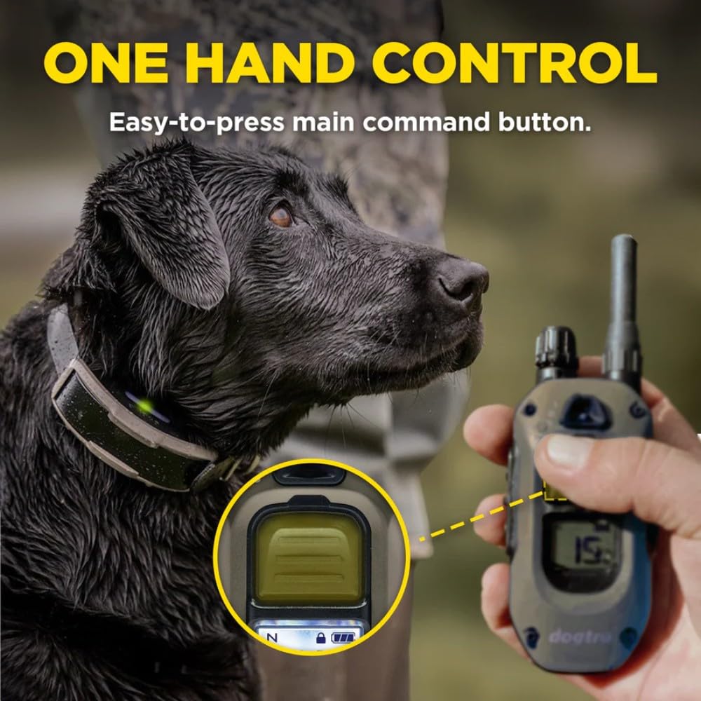 Waterproof Rechargeable Dog Training E-Collar C365