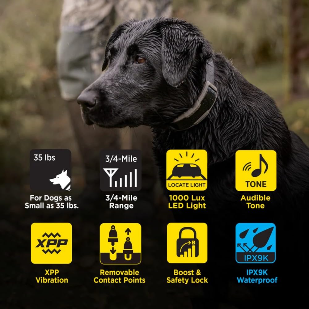 Waterproof Rechargeable Dog Training E-Collar C365