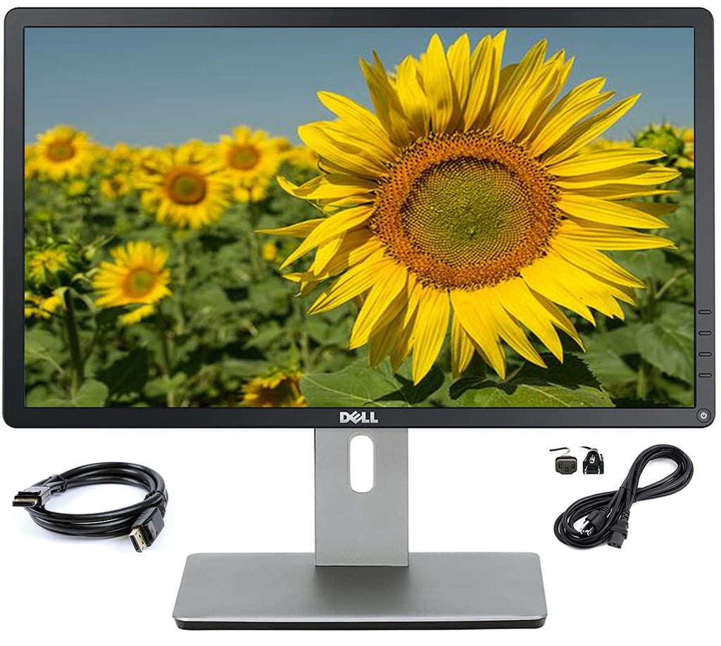 20 inch LED Monitor with VGA Display Port USB Hub B54263