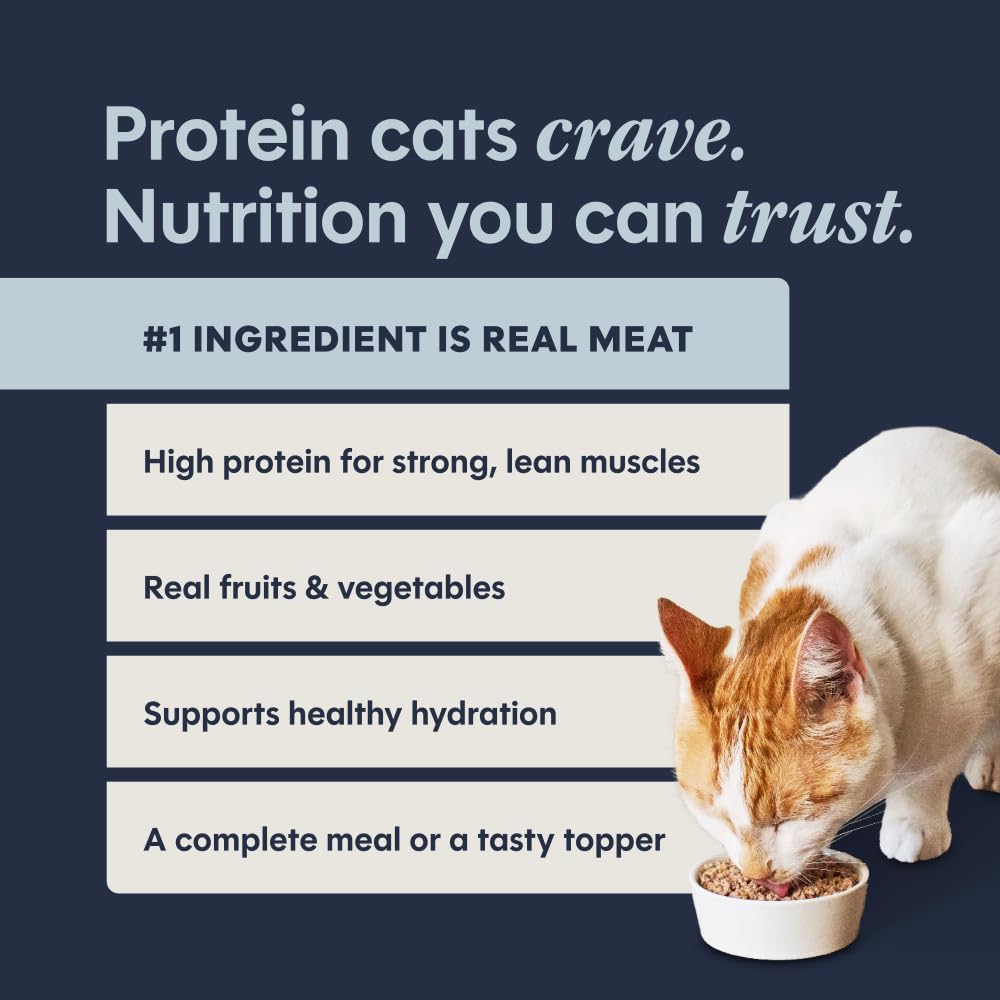 Grain Free Natural Wet Canned Cat Food 3 Ounce (Pack of 12) M784