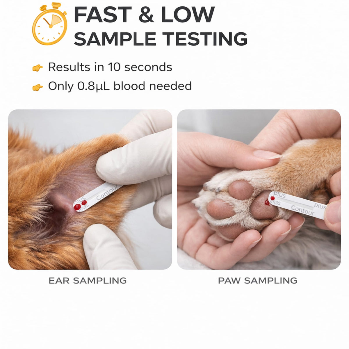 Pet Glucose & Lactate Monitor Kit with 25 Glucose Strips & 25 Lactate Strips E2900