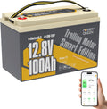 12V 100Ah LiFePO4 Battery W537146