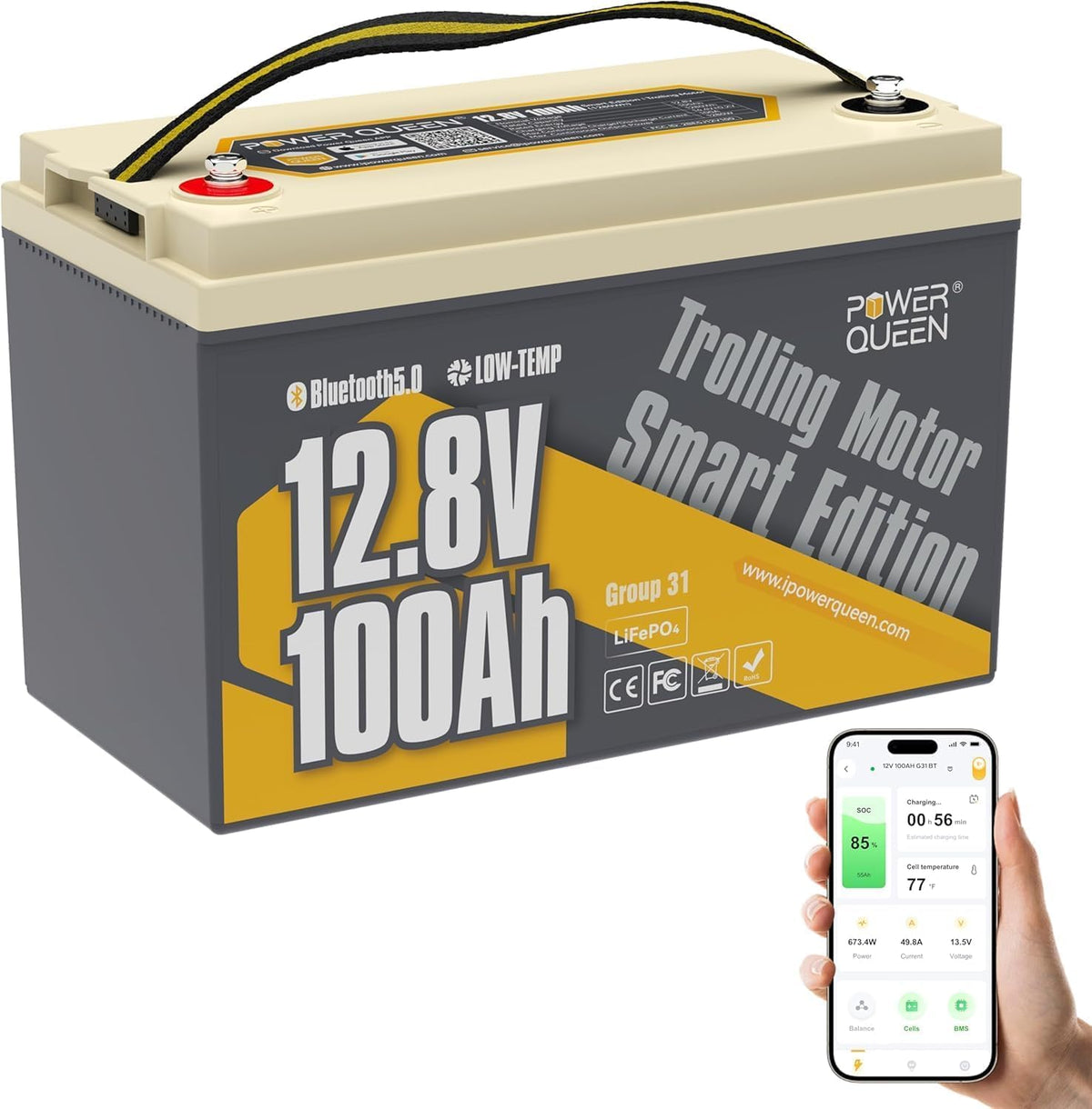 12V 100Ah LiFePO4 Battery W537146
