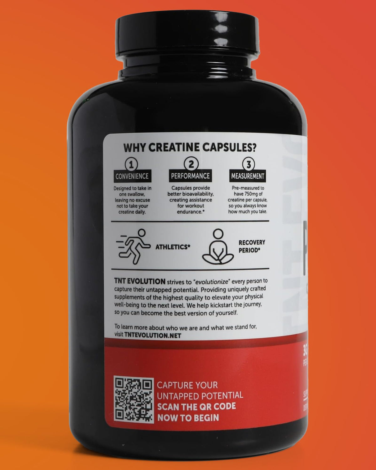 Creatine Monohydrate Capsules 750mg 240 Count Gluten Free M625346