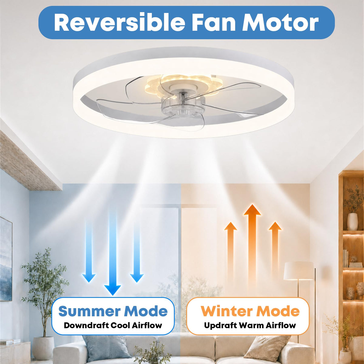 20'' Ceiling Fan with Light and Remote W60521