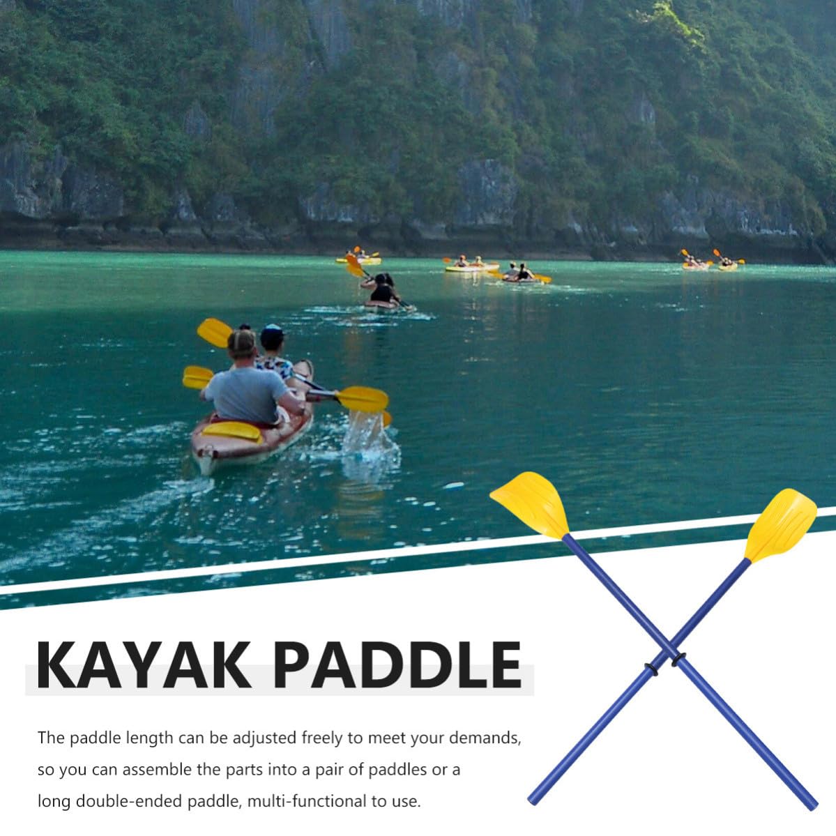 Detachable Plastic Boat Paddle with Aluminum Alloy Poles C3976