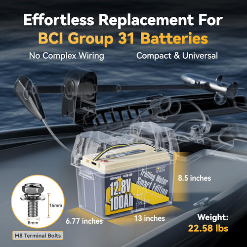 12V 100Ah LiFePO4 Battery W537146