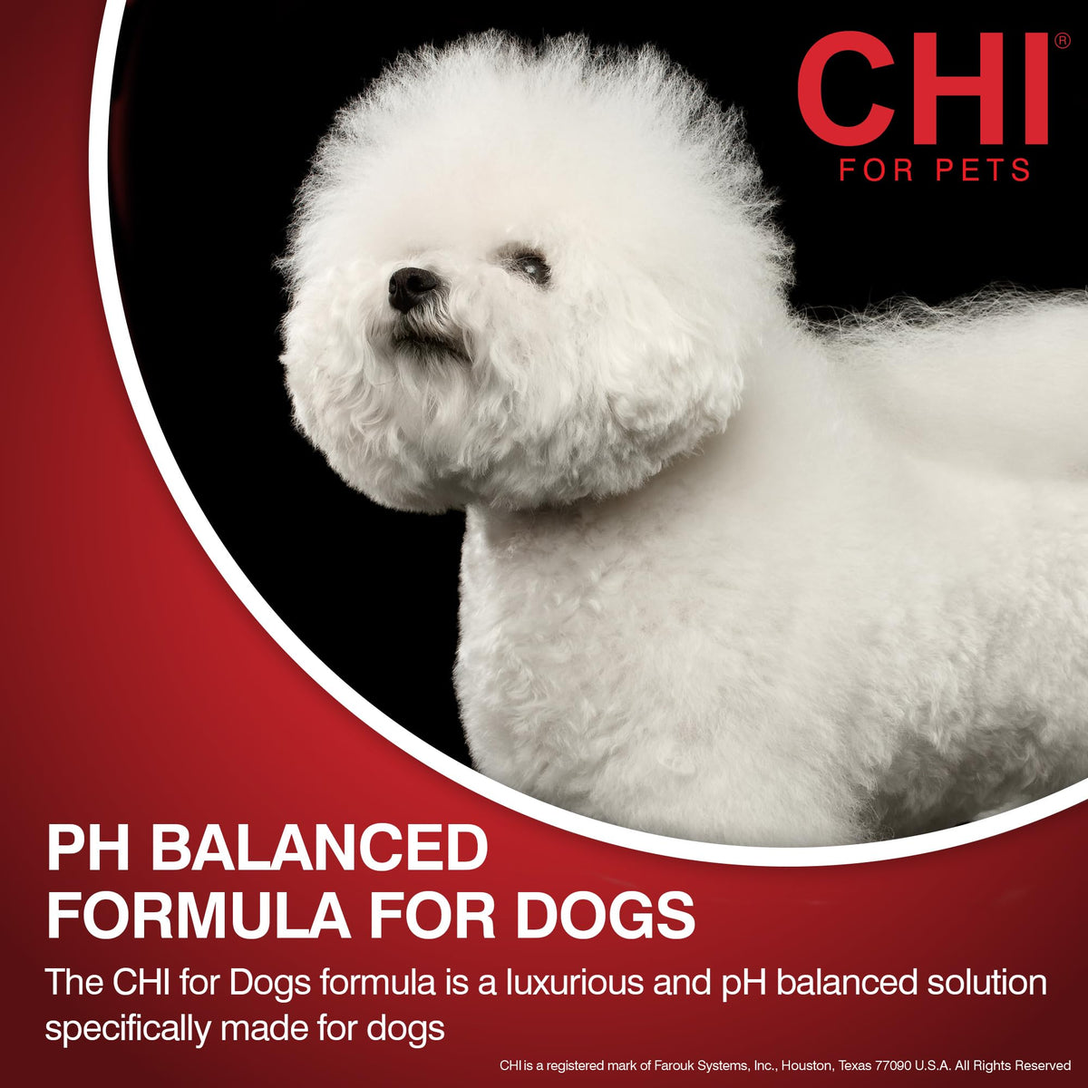 2-in-1 Dog Shampoo and Conditioner 16 Fl Oz J715397