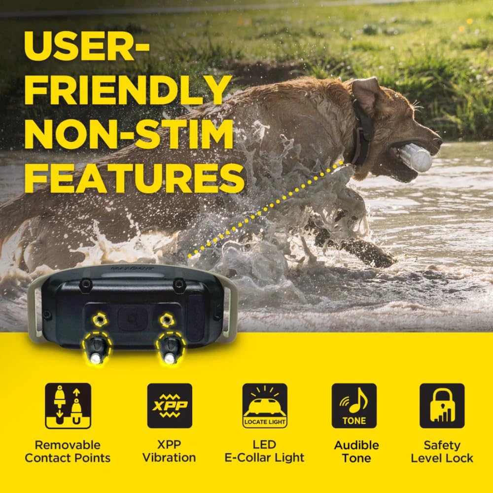 Waterproof Rechargeable Dog Training E-Collar C365