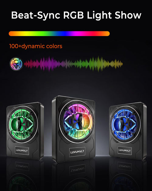 1200W 10" Slim Under Seat Car Subwoofer with Built-in Amplifier I425