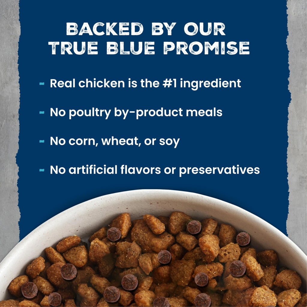 Chicken & Wholesome Grains Adult Dry Dog Food, 28lb T8137