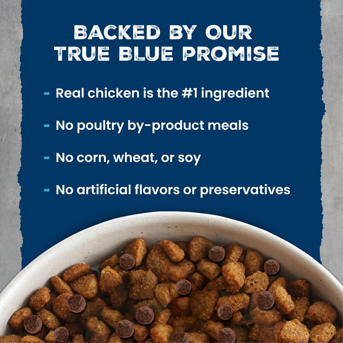 Chicken & Wholesome Grains Adult Dry Dog Food, 28lb T8137