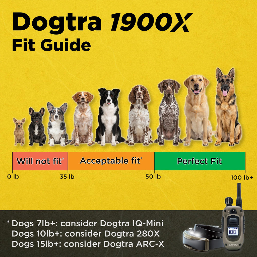 Waterproof Rechargeable Dog Training E-Collar C365