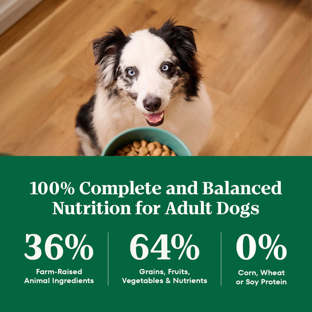 Healthy Weight Chicken & Rice Dry Dog Food 30 lb F489