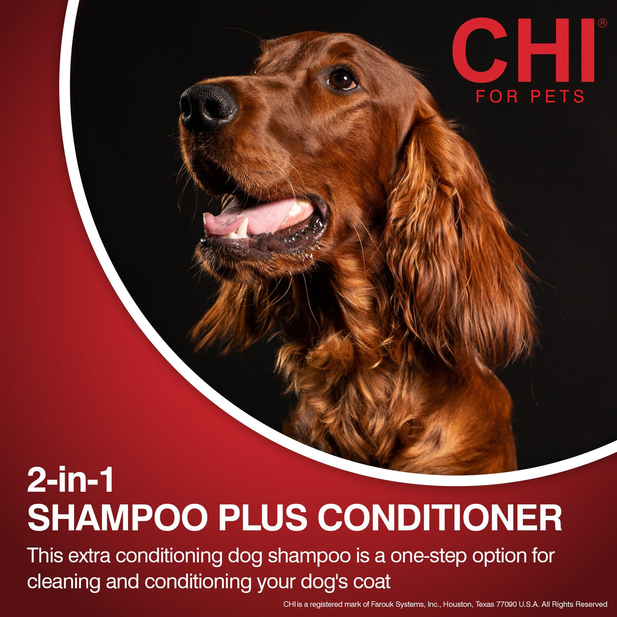 2-in-1 Dog Shampoo and Conditioner 16 Fl Oz J715397