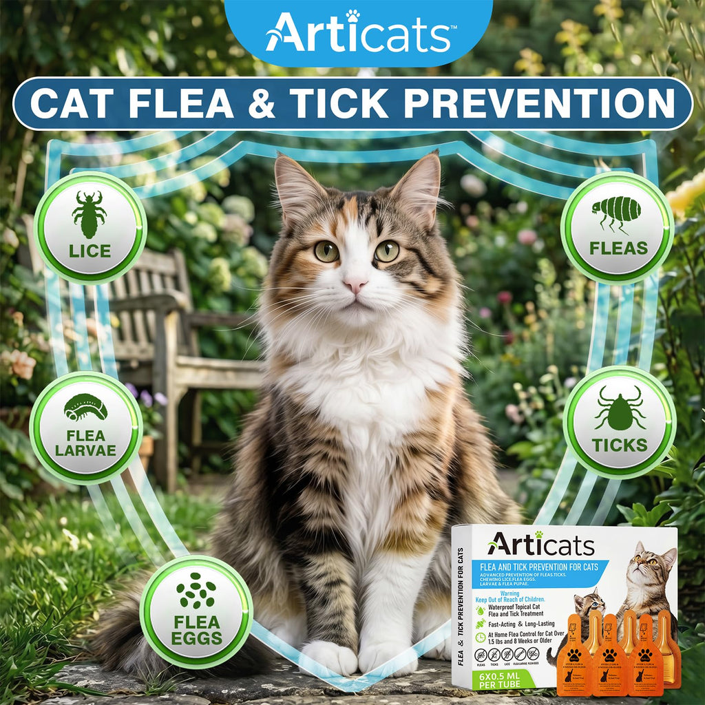Flea and Tick Prevention for Cats & Kittens, Topical Cat Flea and Tick Treatment 6-Dose E8545