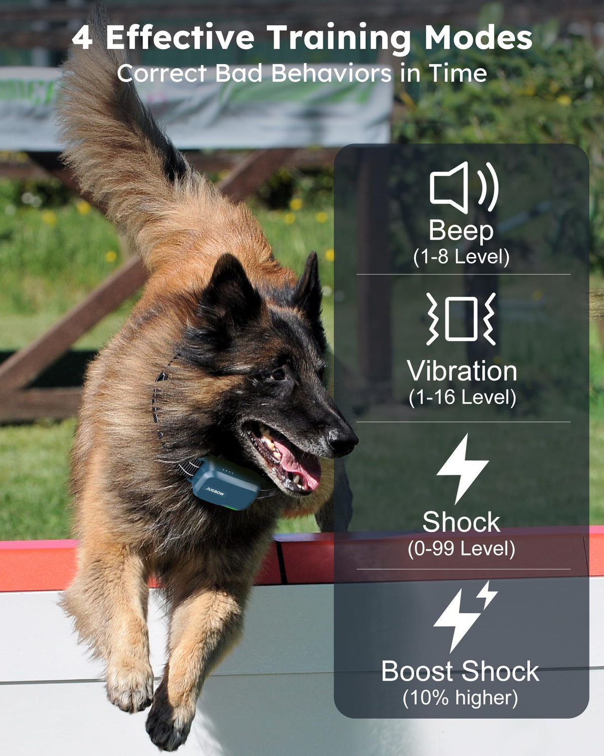 Dog Shock Collar with Remote K1109