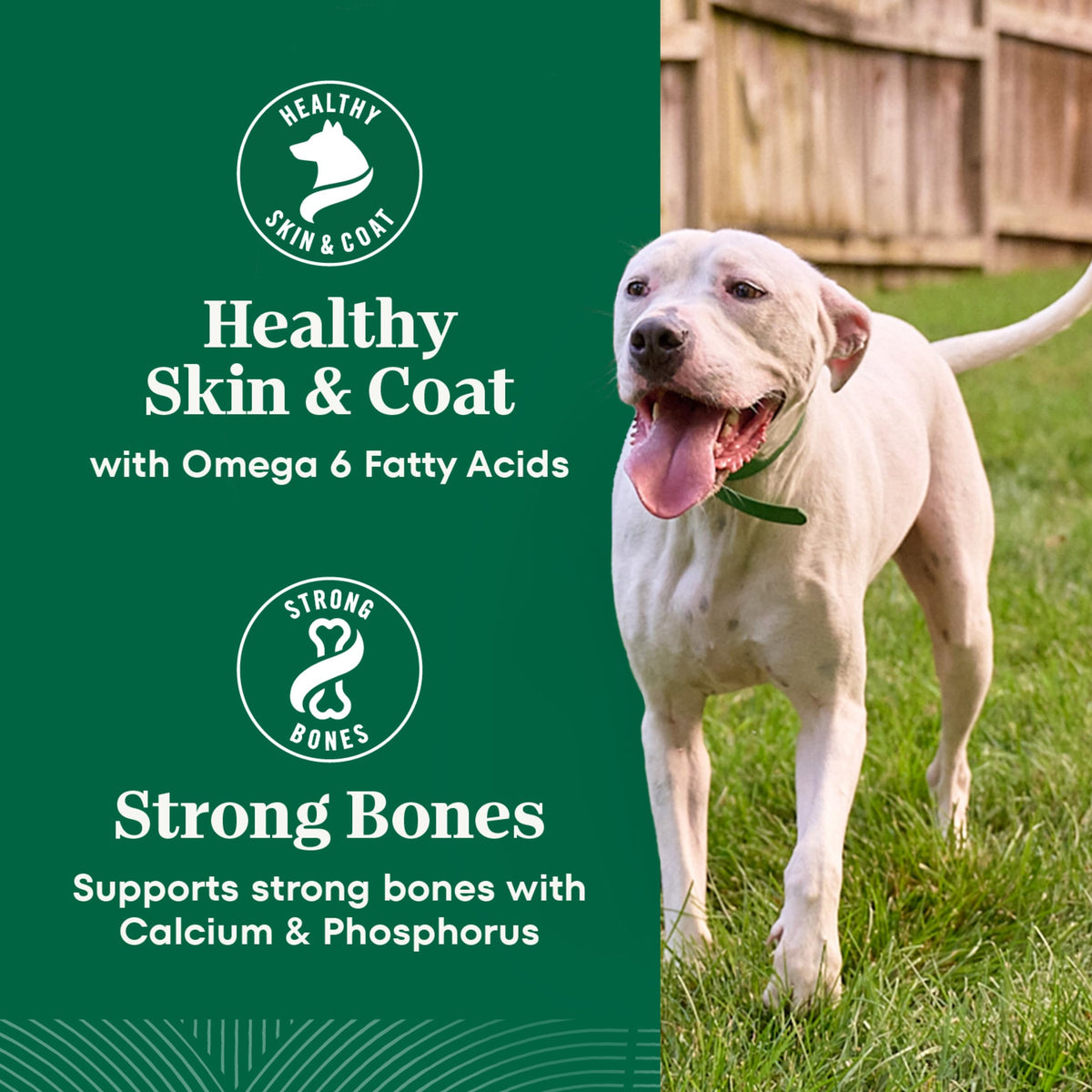 Healthy Weight Chicken & Rice Dry Dog Food 30 lb F489