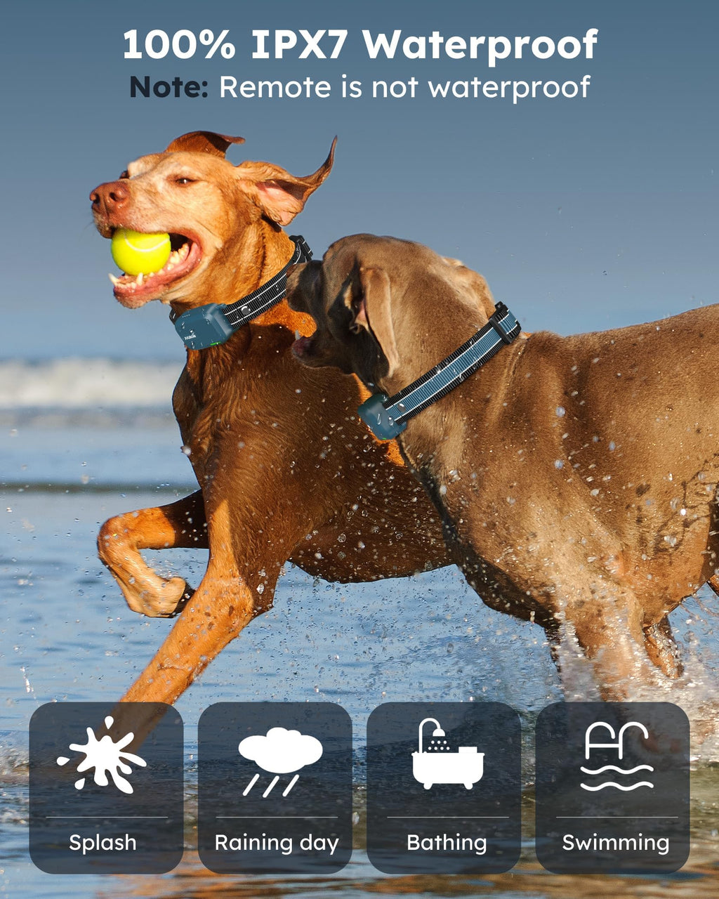 Dog Shock Collar with Remote K1109