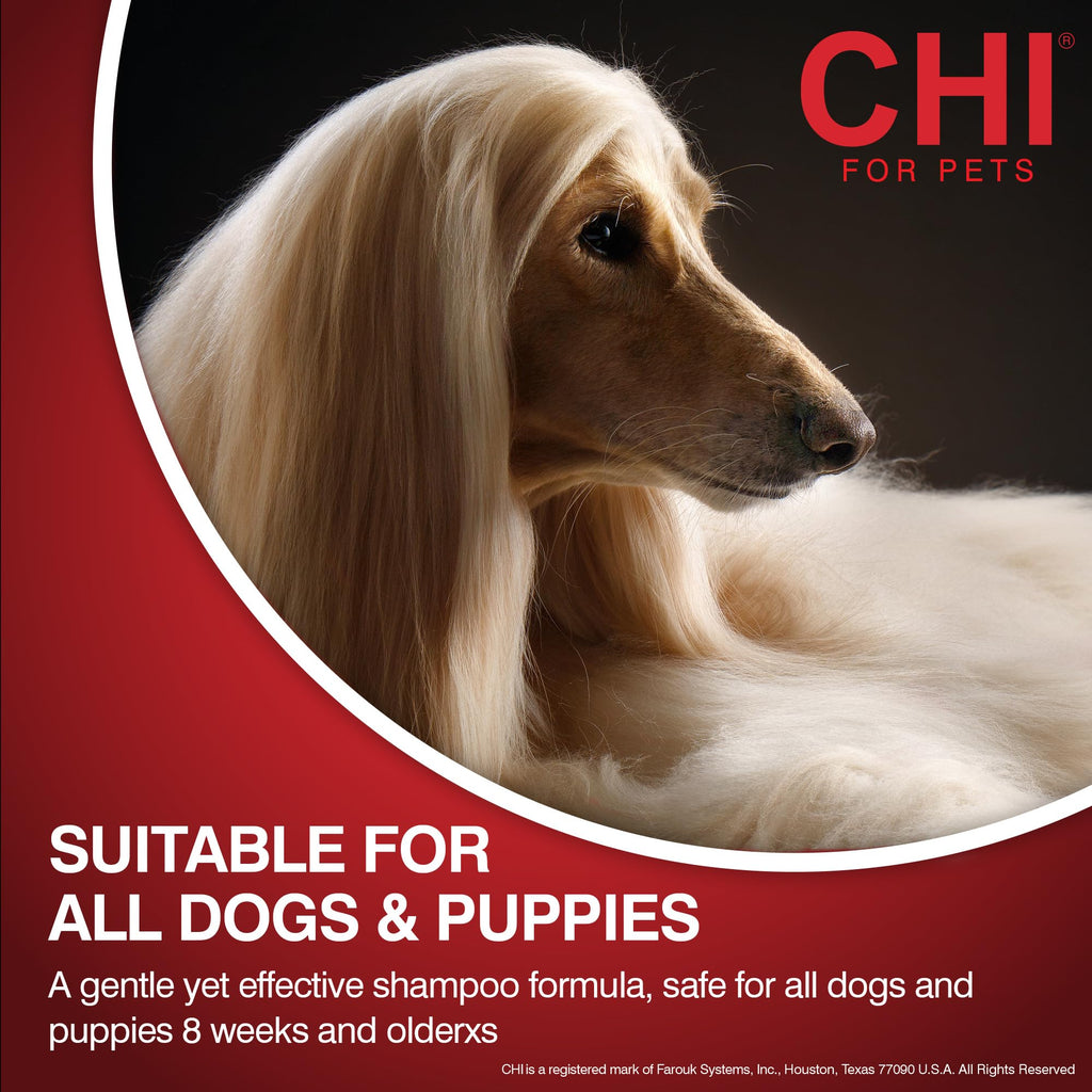 2-in-1 Dog Shampoo and Conditioner 16 Fl Oz J715397