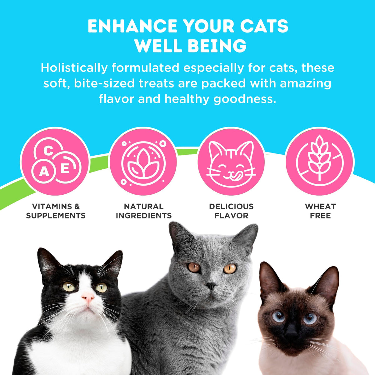 Chicken and Liver Flavor Soft Chews for Cats 60 Count T963835