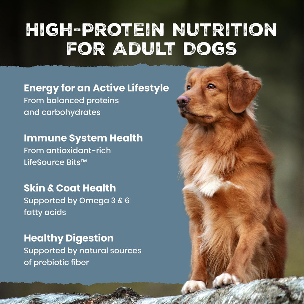 Chicken & Wholesome Grains Adult Dry Dog Food, 28lb T8137
