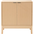 2-Door Storage Cabinet with Adjustable Shelves V7160