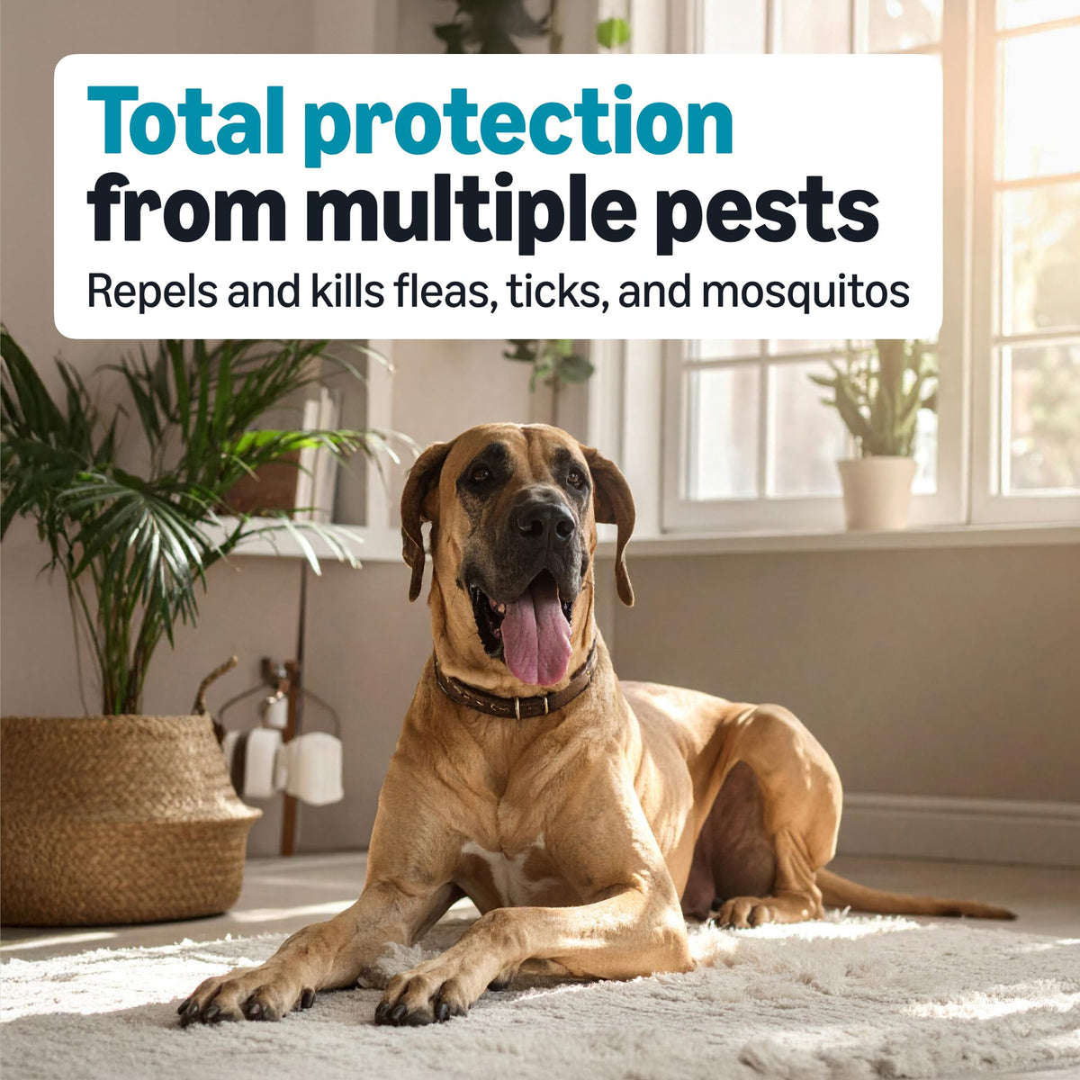 Flea, Tick & Mosquito Topical Treatment for X-Large Dogs, 6 Count V778