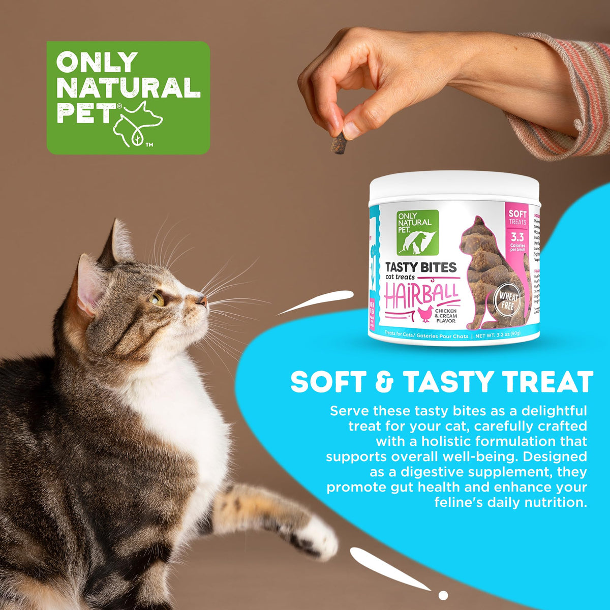 Chicken and Liver Flavor Soft Chews for Cats 60 Count T963835