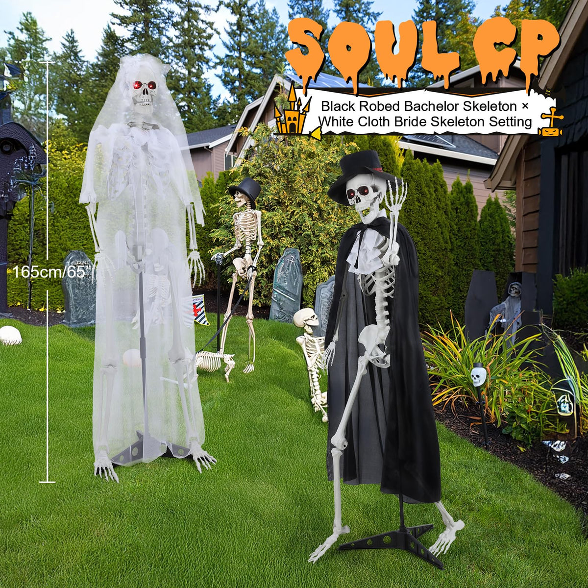 Life Size Skeleton J602618