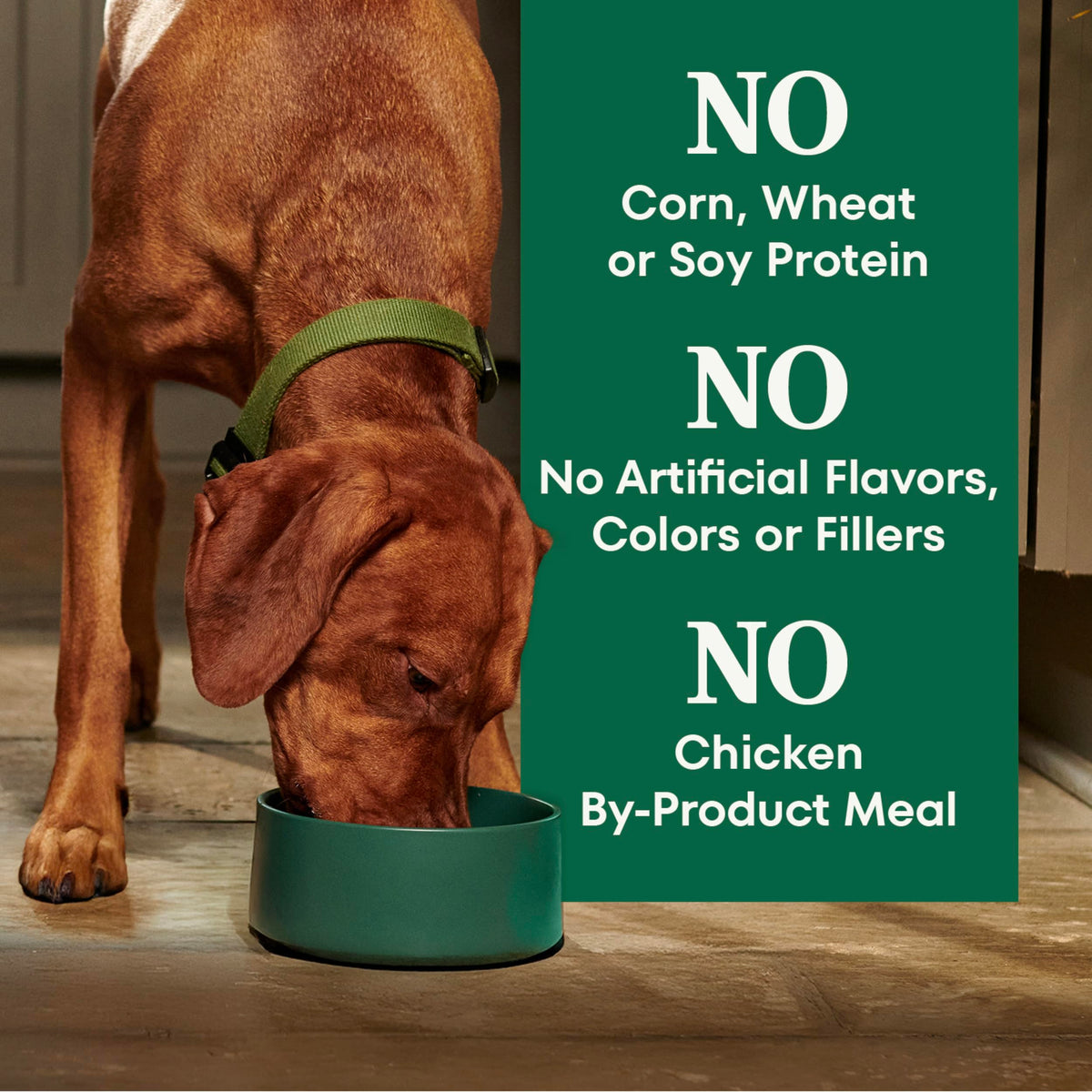 Healthy Weight Chicken & Rice Dry Dog Food 30 lb F489