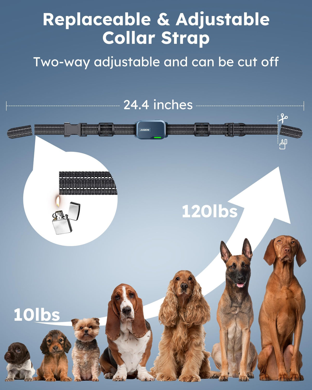 Dog Shock Collar with Remote K1109