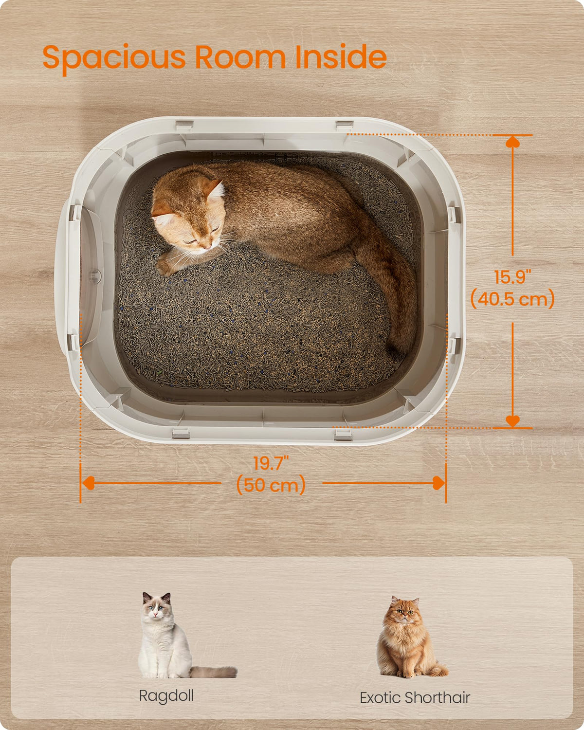XL Enclosed Cat Litter Box with Scoop Y70927