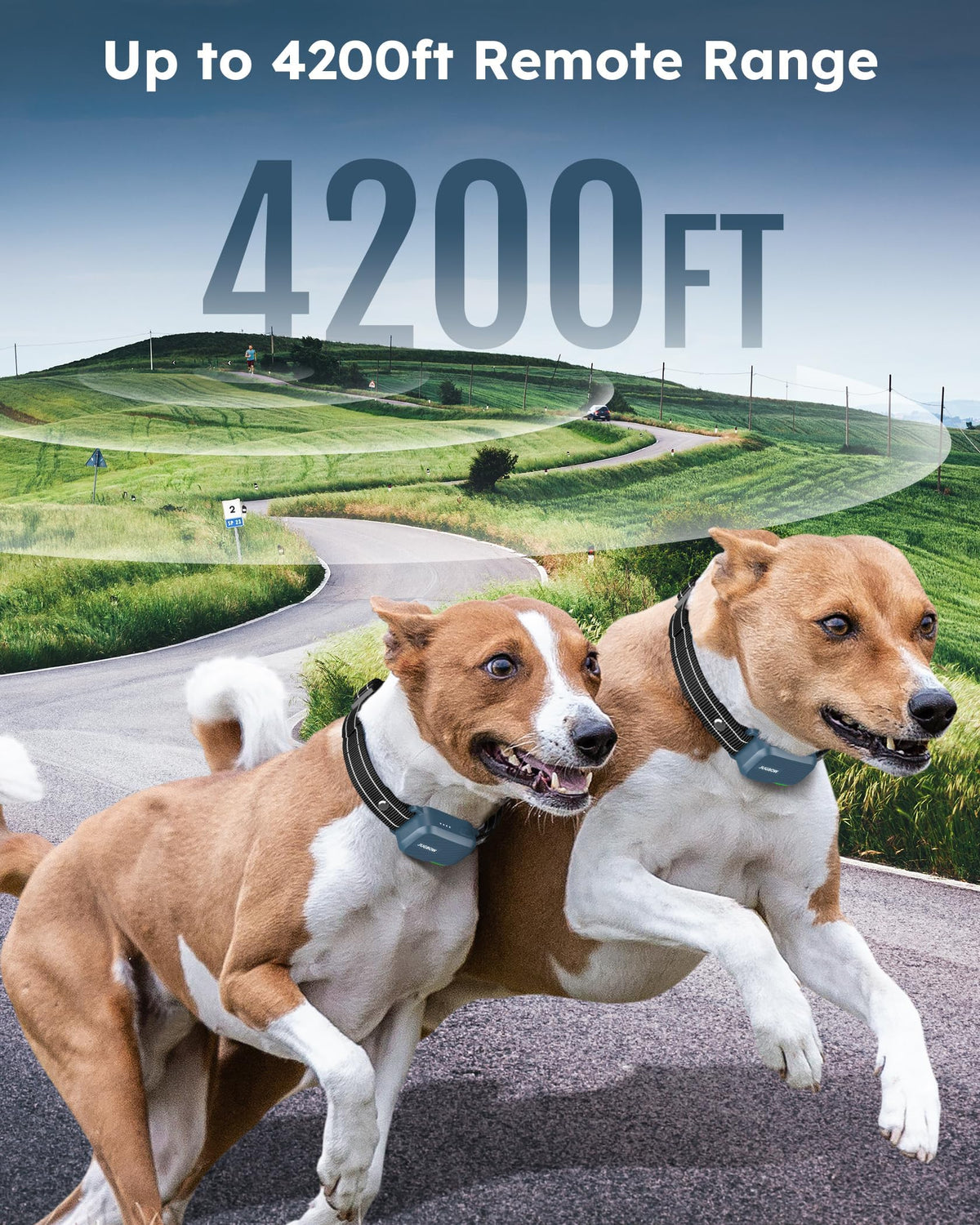 Dog Shock Collar with Remote K1109